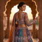 Launching Soft Butterfly Net Coding Sequins Work Lehenga