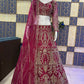 Launching 4 Meter Flared Premium Butterfly Net Lehenga