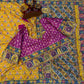 Soft Chinnon with beautiful print saree