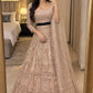 Presenting You Most Beautiful Most Trending Lehenga Collection