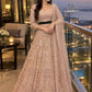Presenting You Most Beautiful Most Trending Lehenga Collection