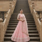Net Multi Sequence embroidery Lehenga