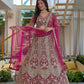Butterfly Net Sequins and Codding Embroidery Work Lehenga