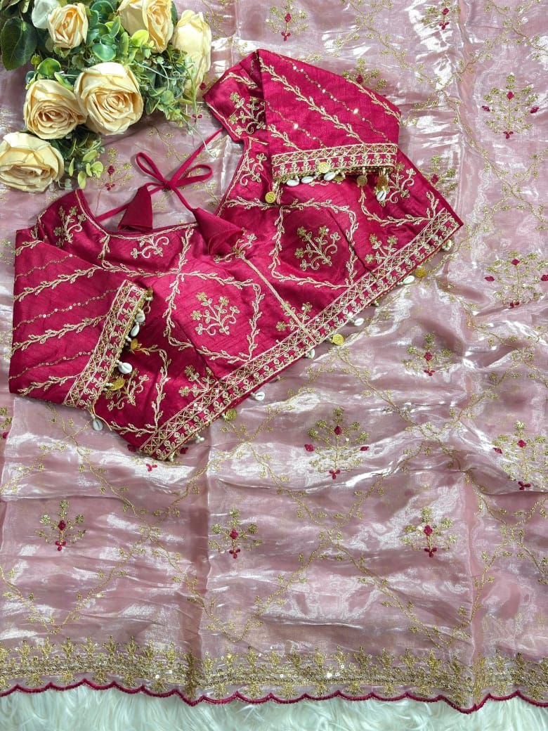 Pure soft Rimzim silk saree with beautiful embroidery