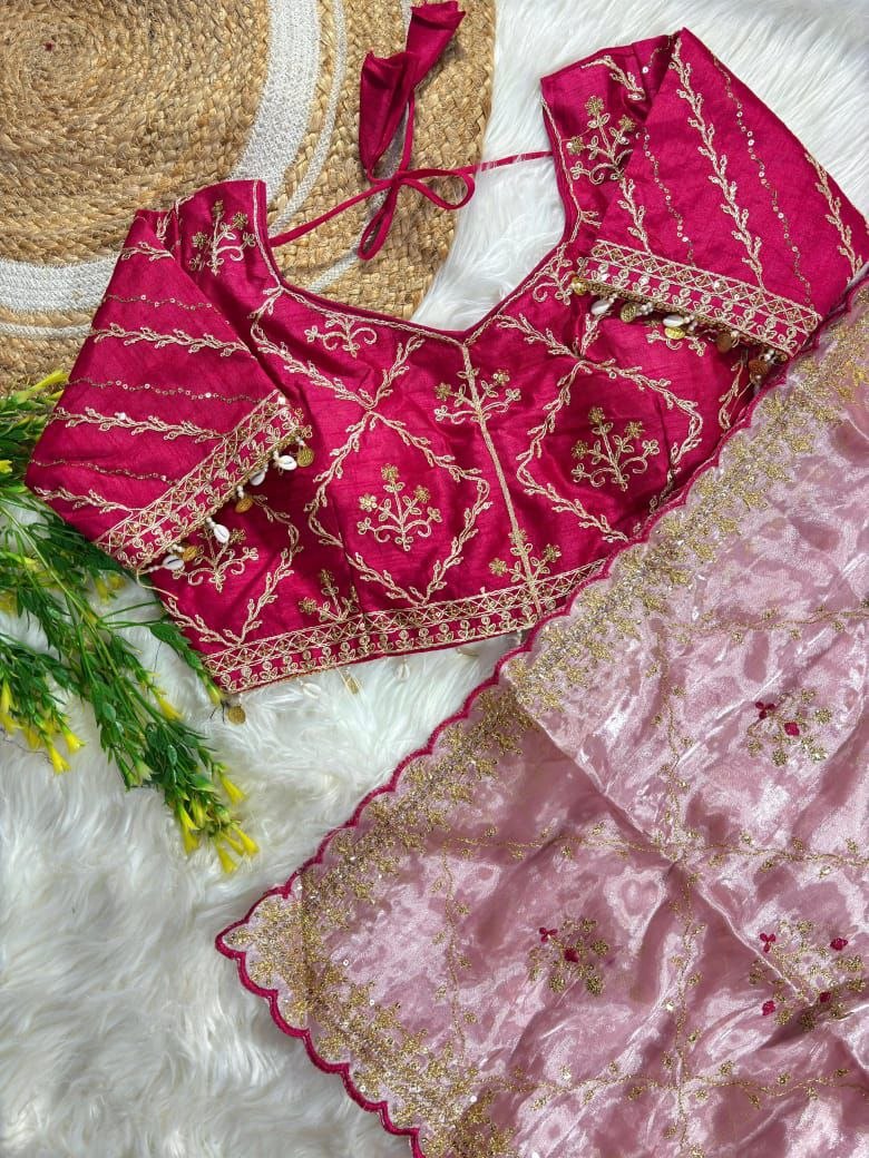 Pure soft Rimzim silk saree with beautiful embroidery