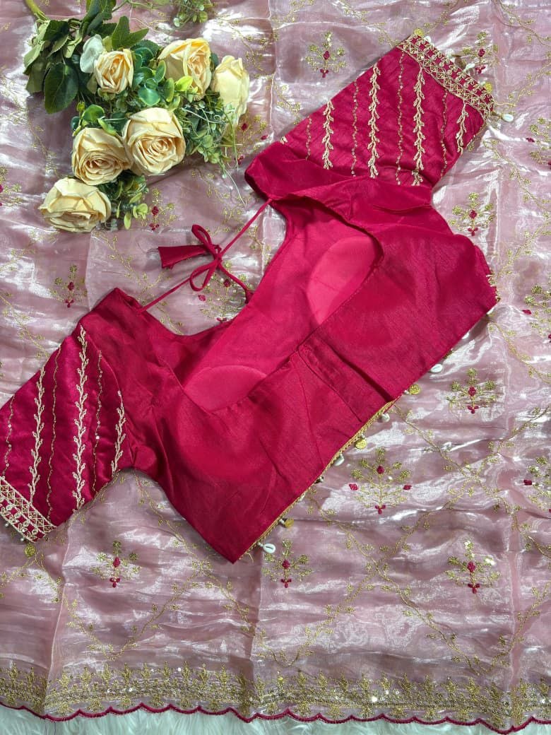 Pure soft Rimzim silk saree with beautiful embroidery