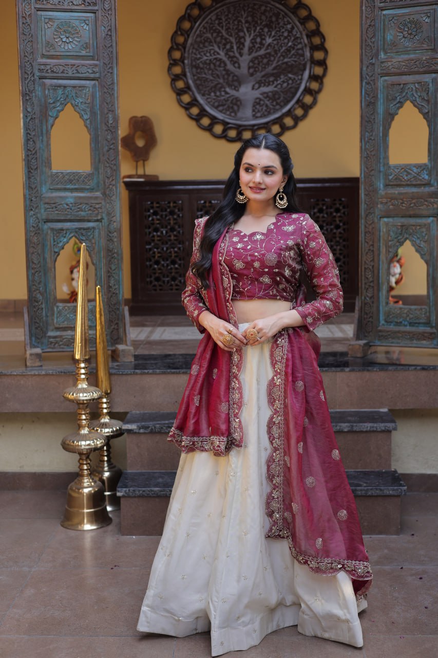 Cosmos with Zari & Sequins Embroidered work lehenga