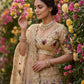 Einführung eines 4 Meter ausgestellten Fox Georgette Lehenga