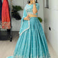 Star Gorgette Embroidery n Pipe Bead With Traditional Work Lehenga