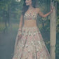 Presenting You Most Beautiful Most Trending Most Awaited Lehenga Collection
